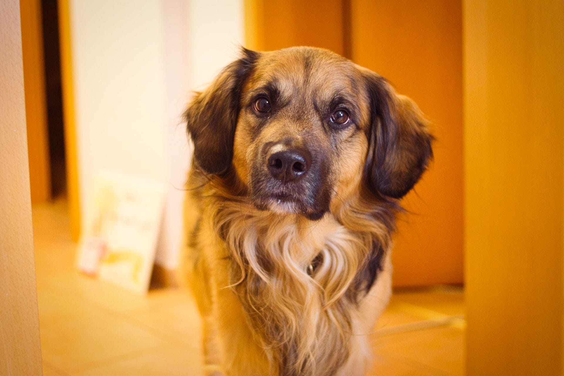 DSC09654.png DSC09654