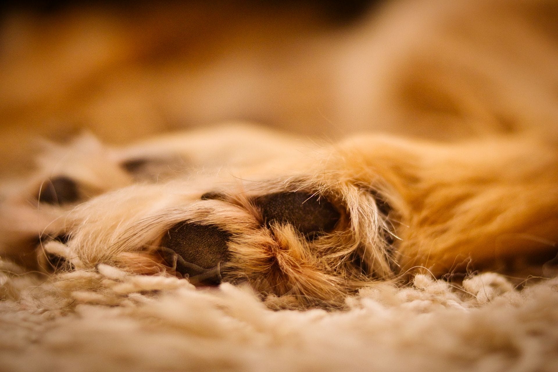 DSC09858.png DSC09858