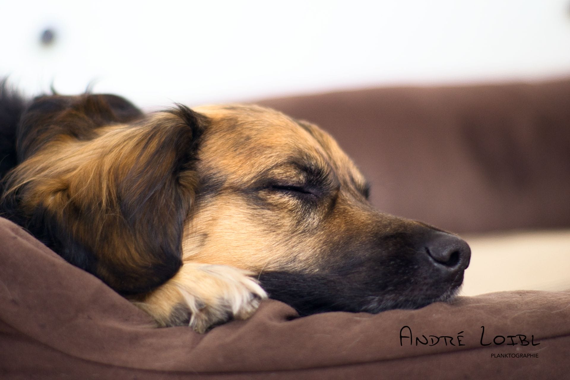 DSC08821.png DSC08821