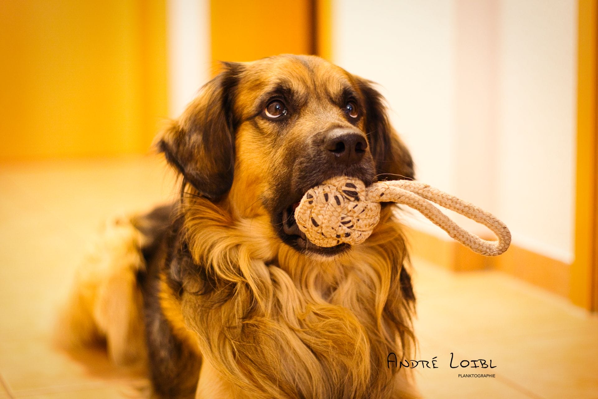 DSC08868.png DSC08868