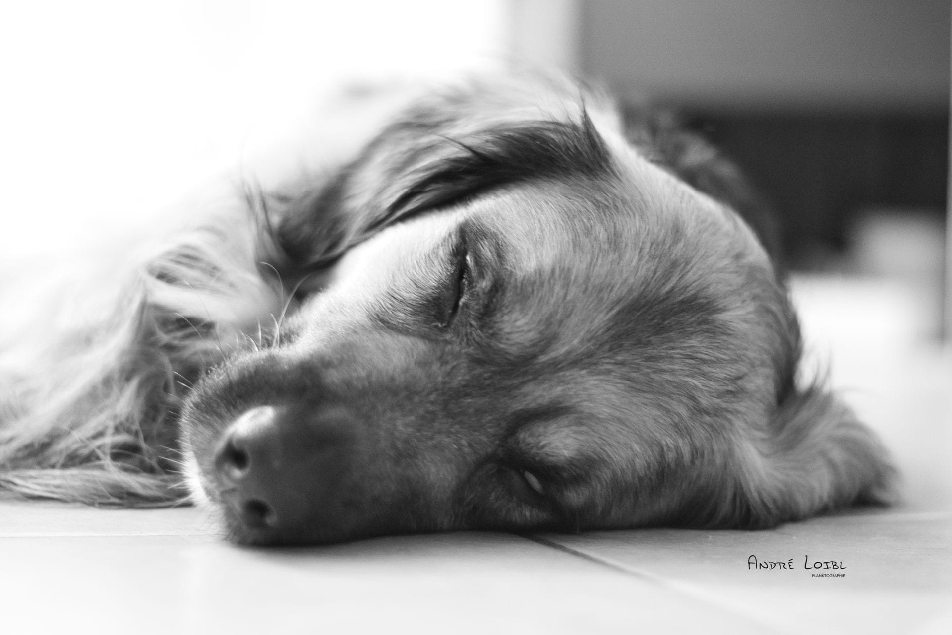 DSC09215b.png DSC09215b