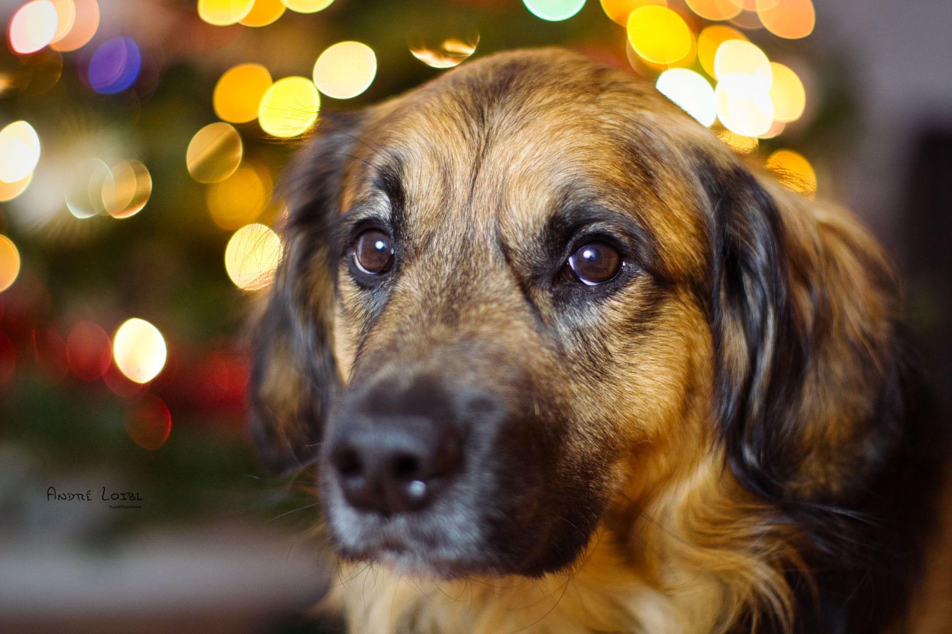 DSC09319.png DSC09319