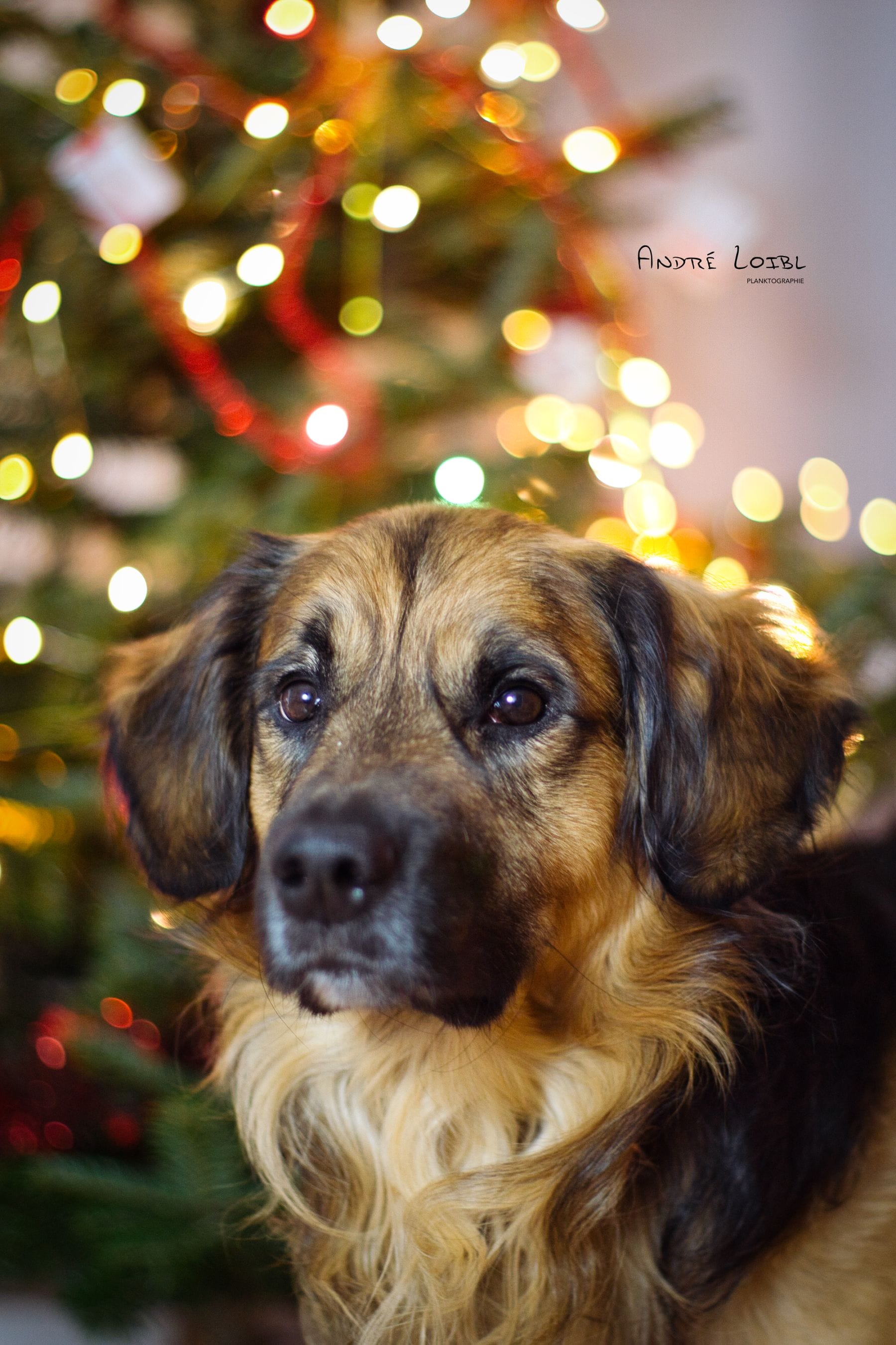 DSC09346.png DSC09346