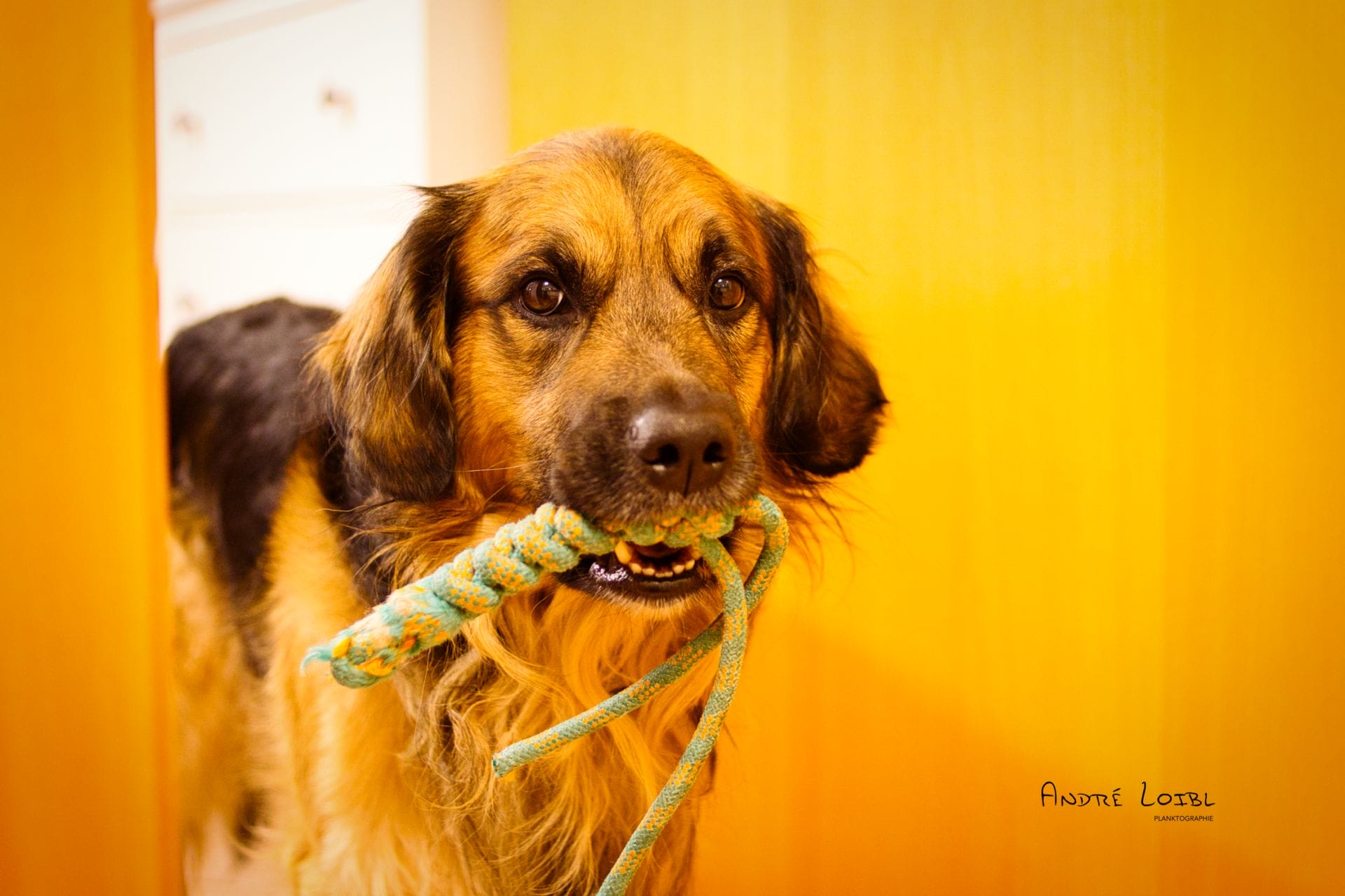 DSC09079.png DSC09079