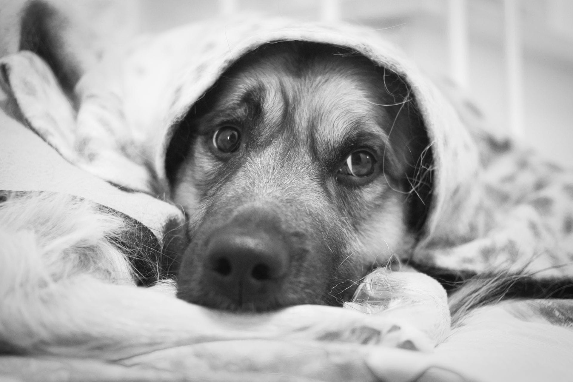 DSC09616.png DSC09616