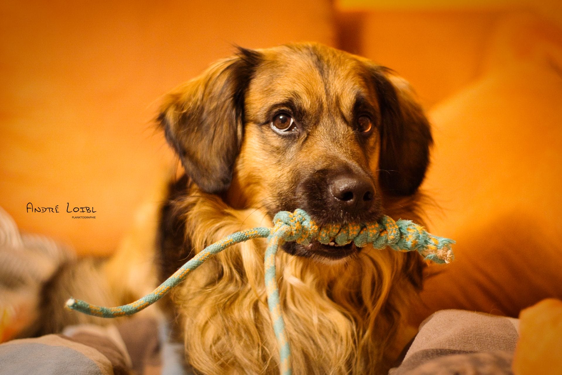 DSC09680.png DSC09680