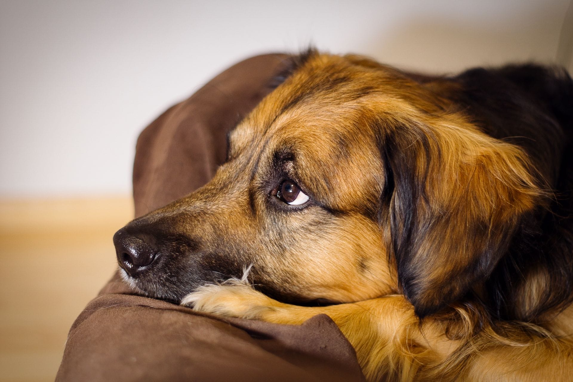 DSC09694.png DSC09694