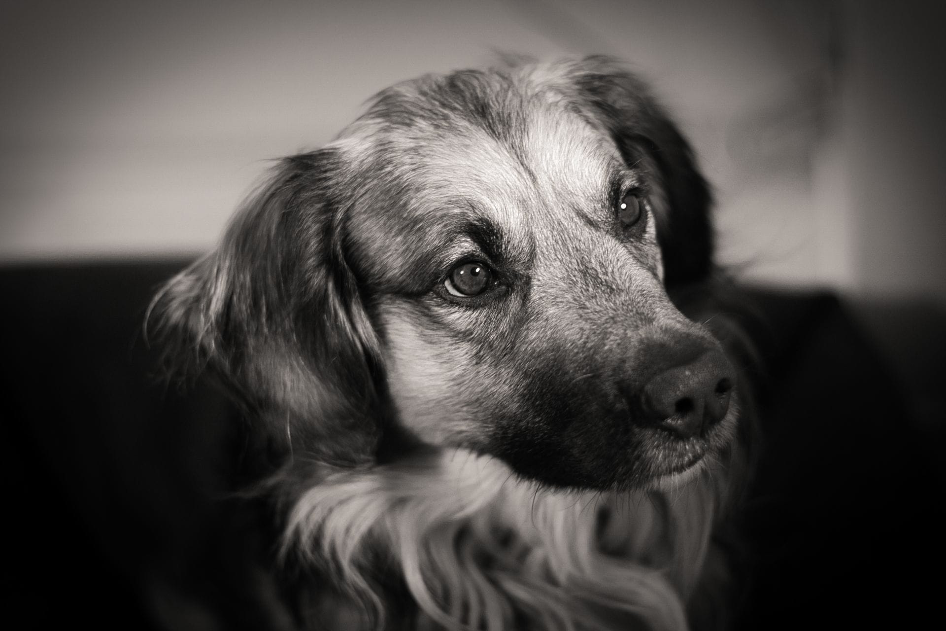 DSC09742.png DSC09742