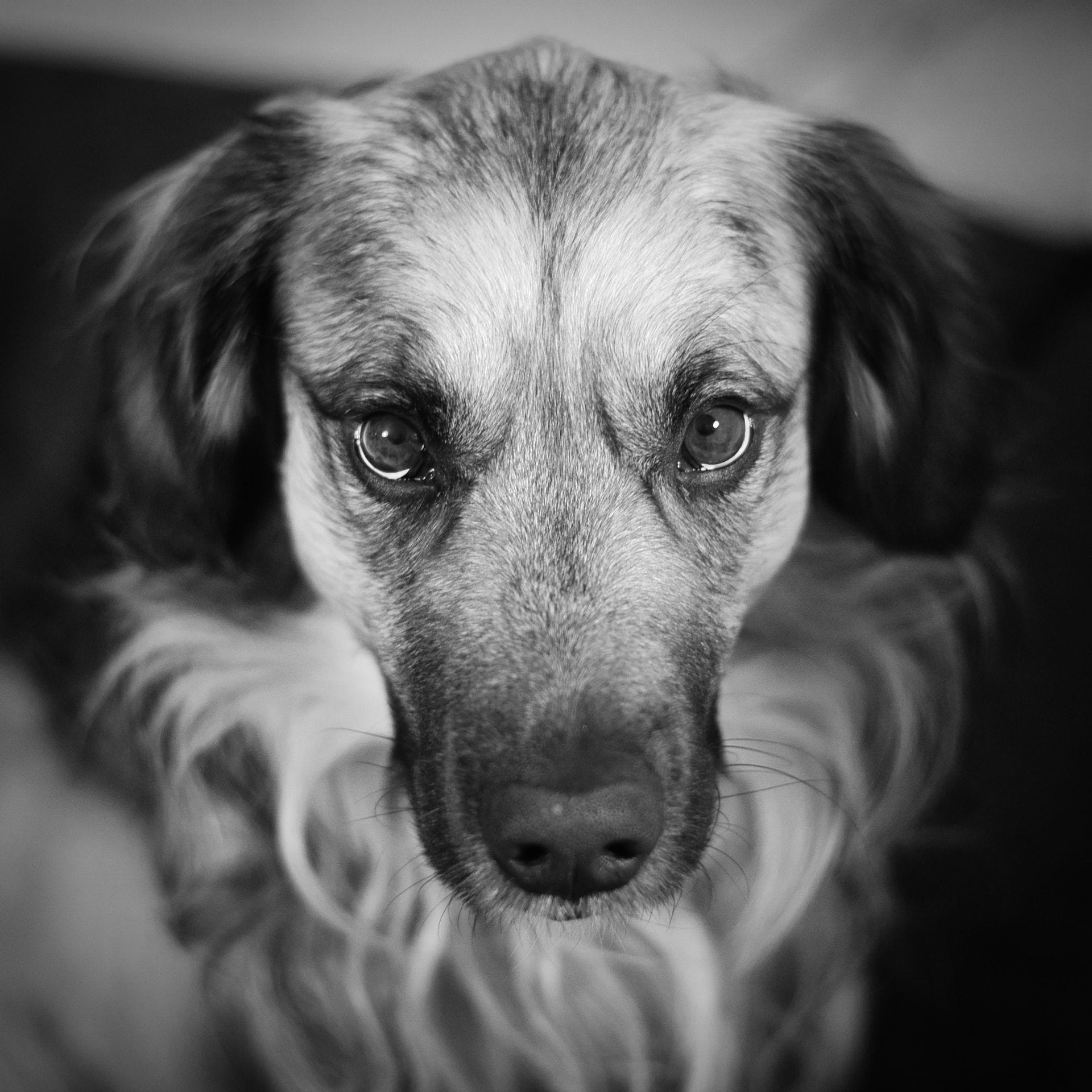 done-DSC09741.png Done DSC09741