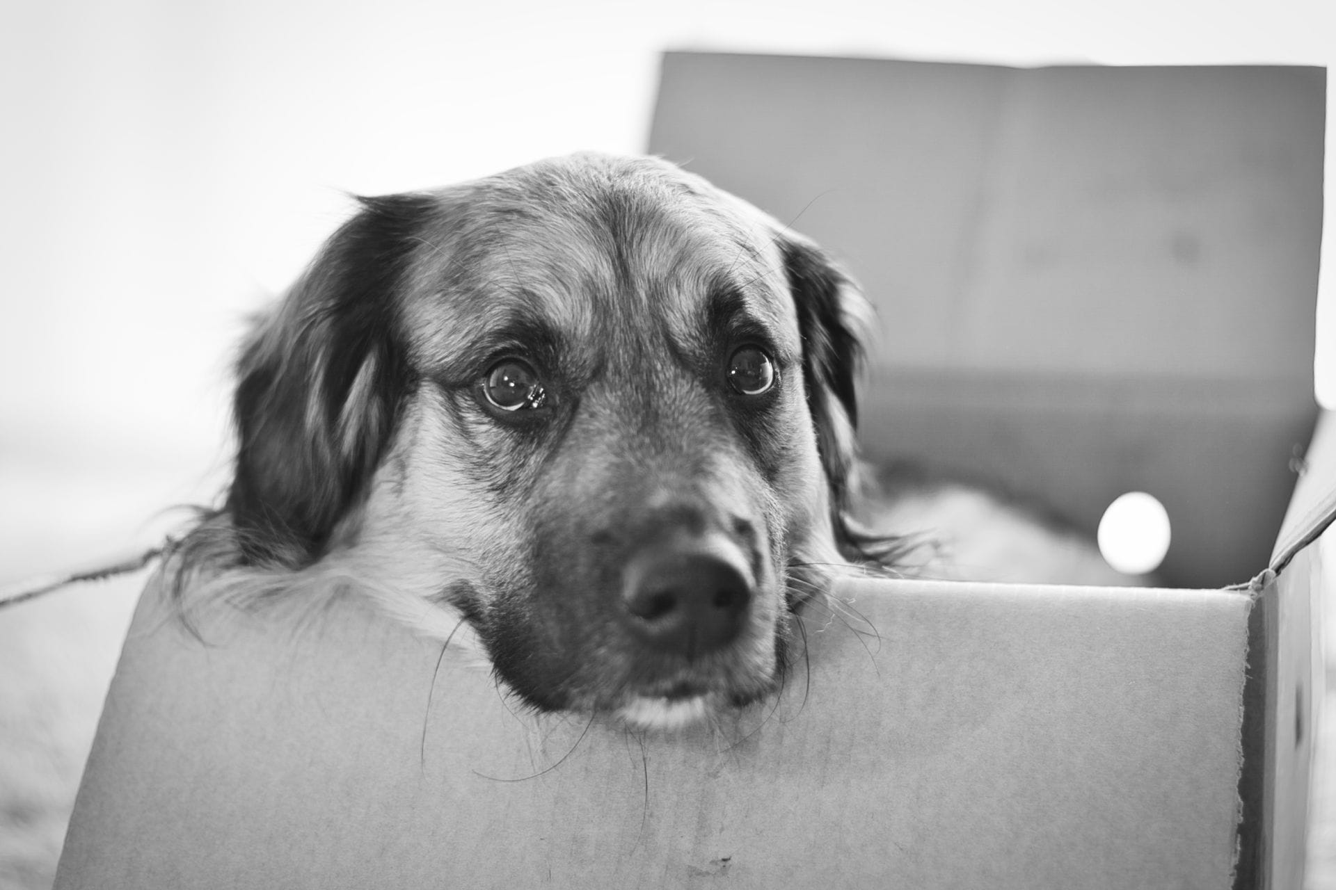 DSC09822b.png DSC09822b