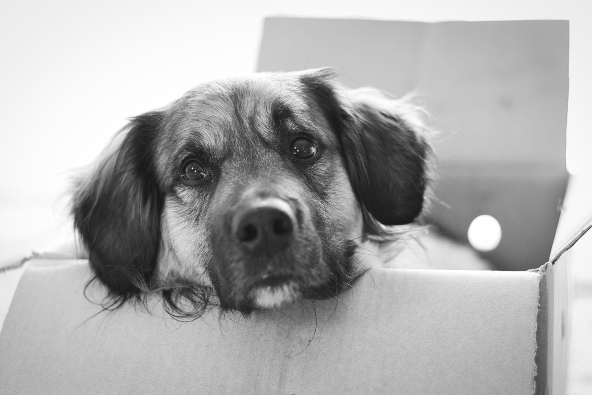 DSC09842b.png DSC09842b