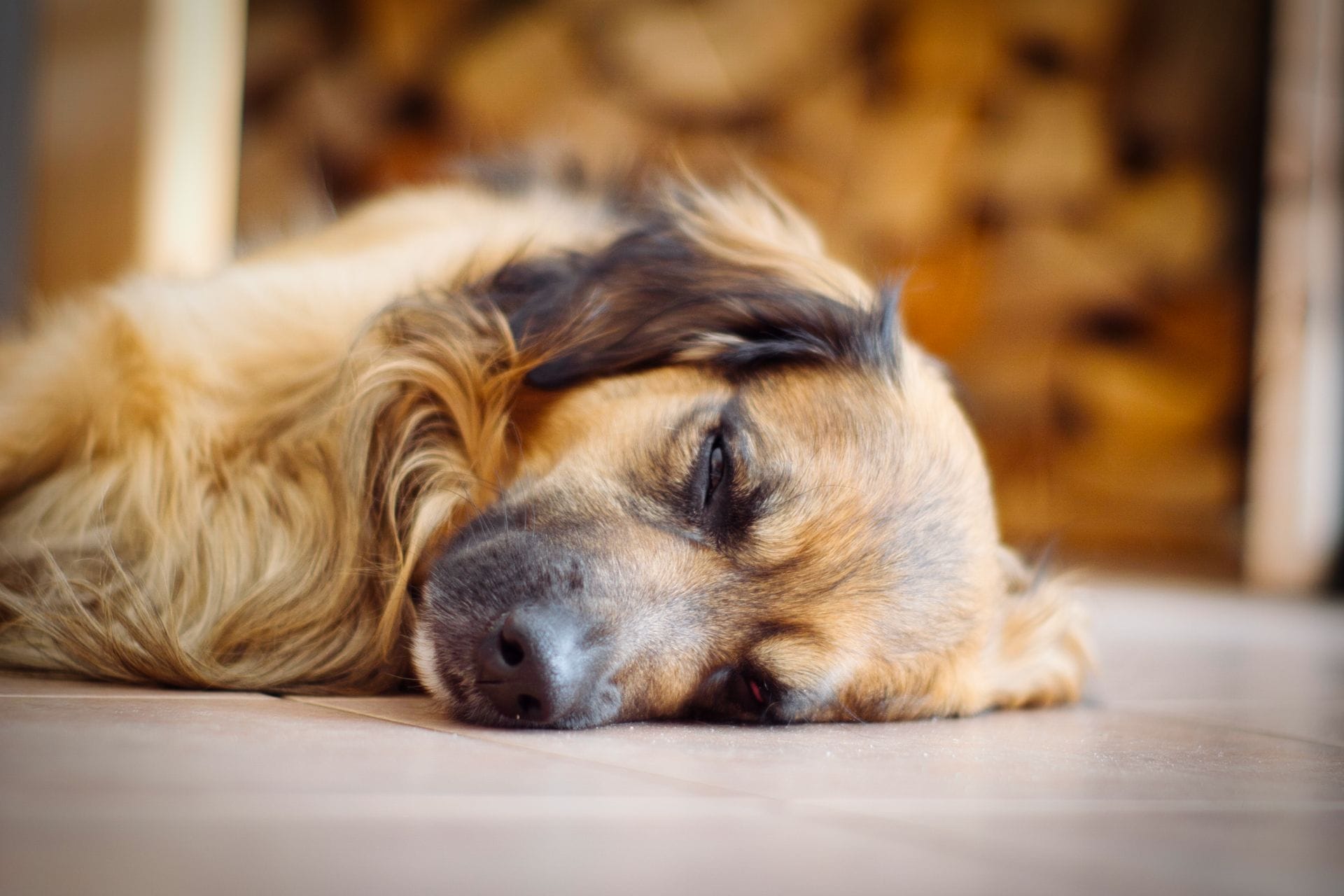 DSC09971.png DSC09971