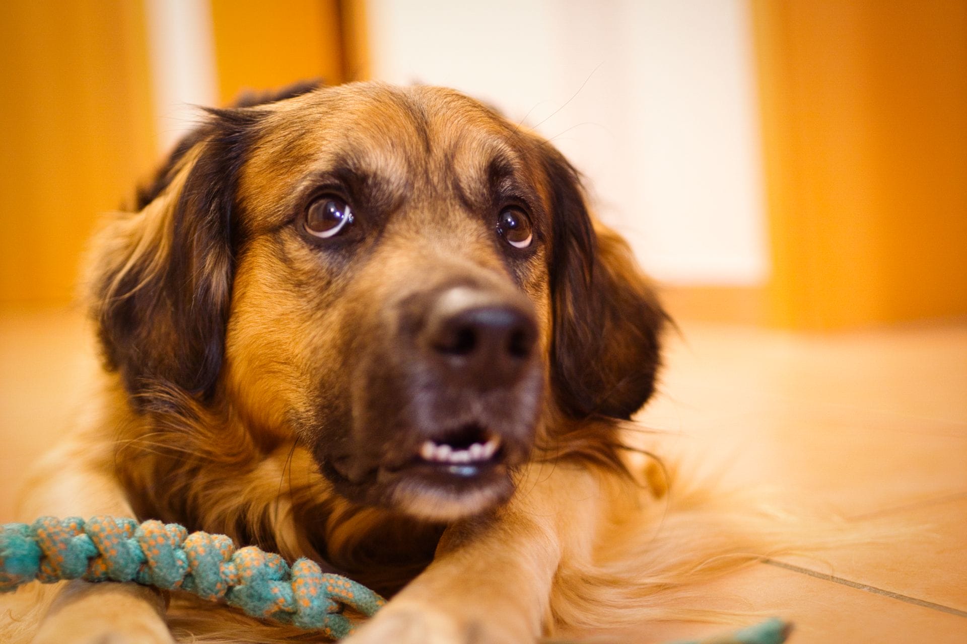 DSC00667.png DSC00667