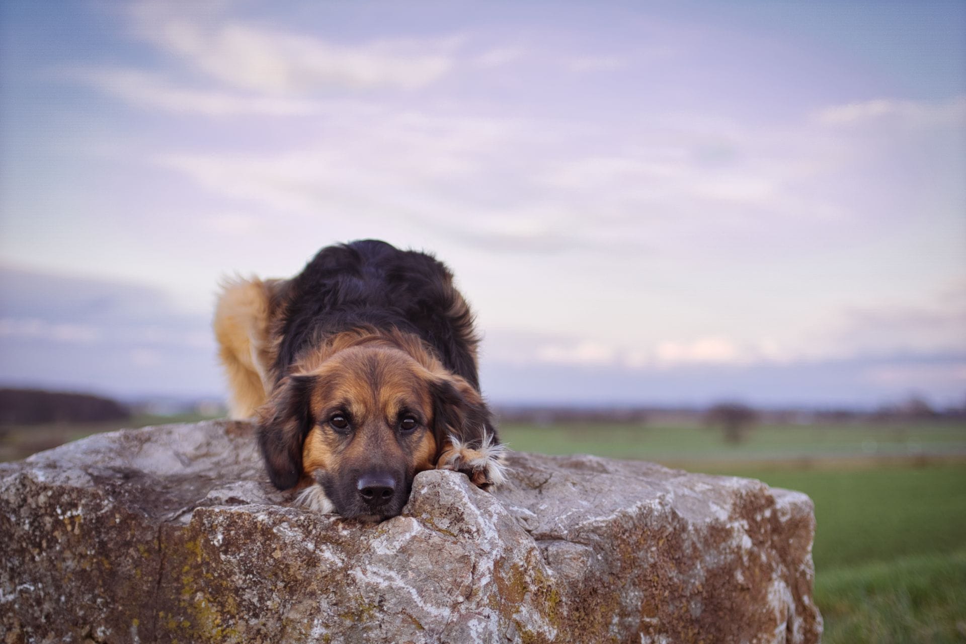 DSC00817b.png DSC00817b