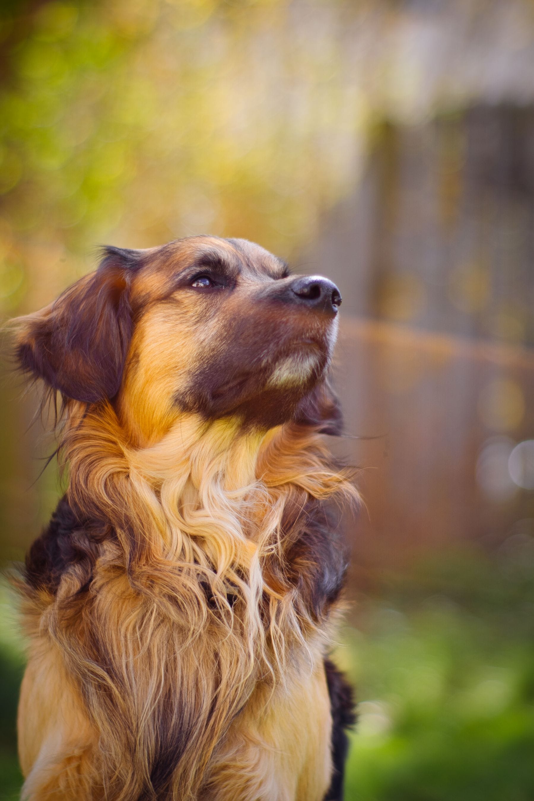 DSC01284.png DSC01284